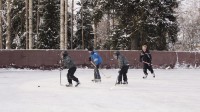 Luistelijat helmikuussa 2010